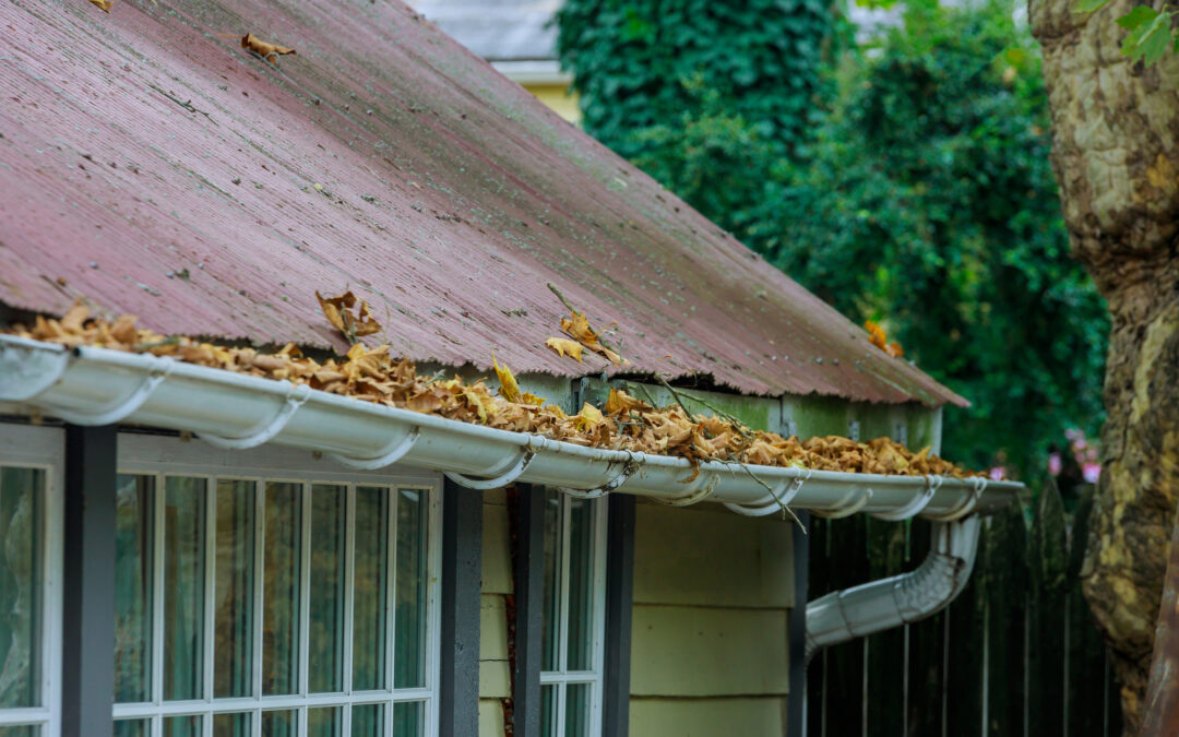Signs of a blocked gutter: How to spot problems before they cause damage